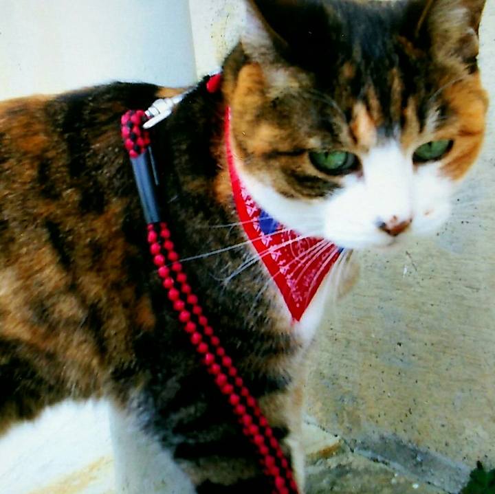 235a3319 e297 495d b2f5 edeee7f98736