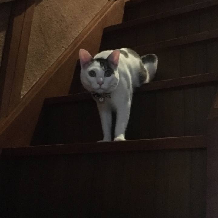 235a78dd 312d 43b3 be80 1f8880f91264