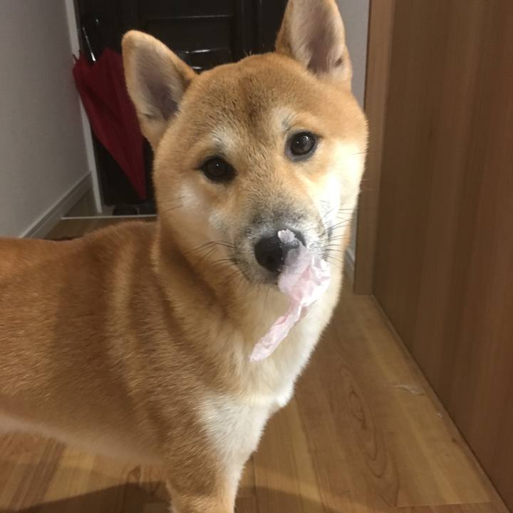 235a90e6 5b8d 4092 9443 ce74a52a561b