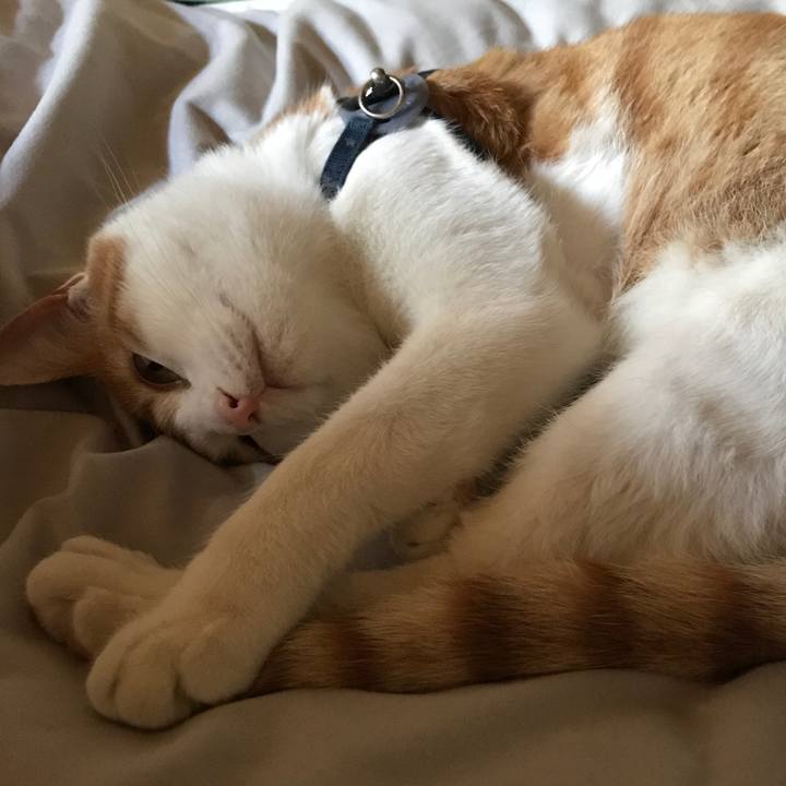 235b4079 68d9 469a a972 7076eecf155d