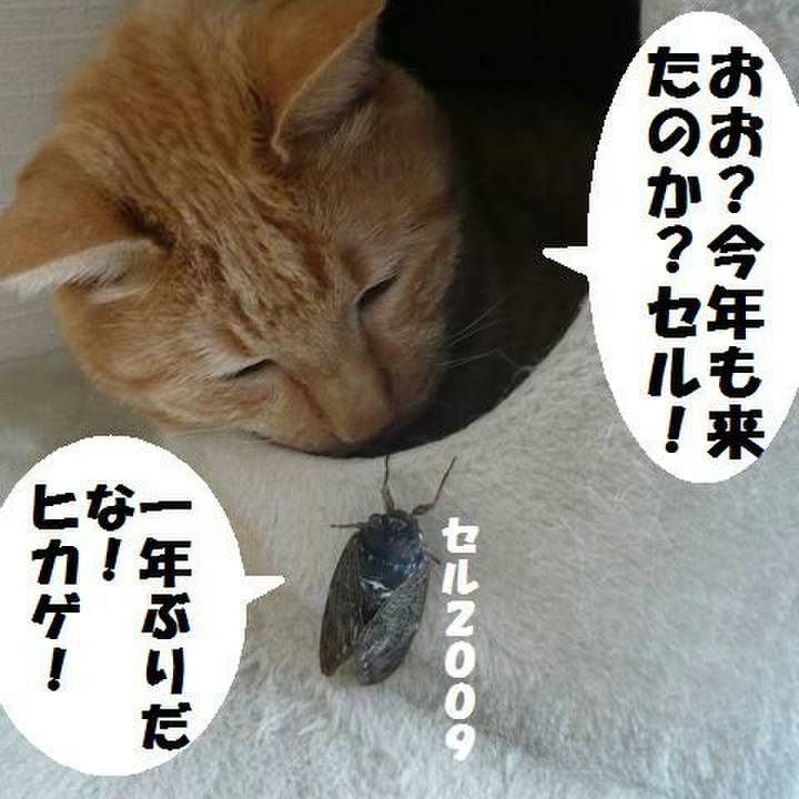 235b51c7 f872 4d4c b12a f5dab74a1178