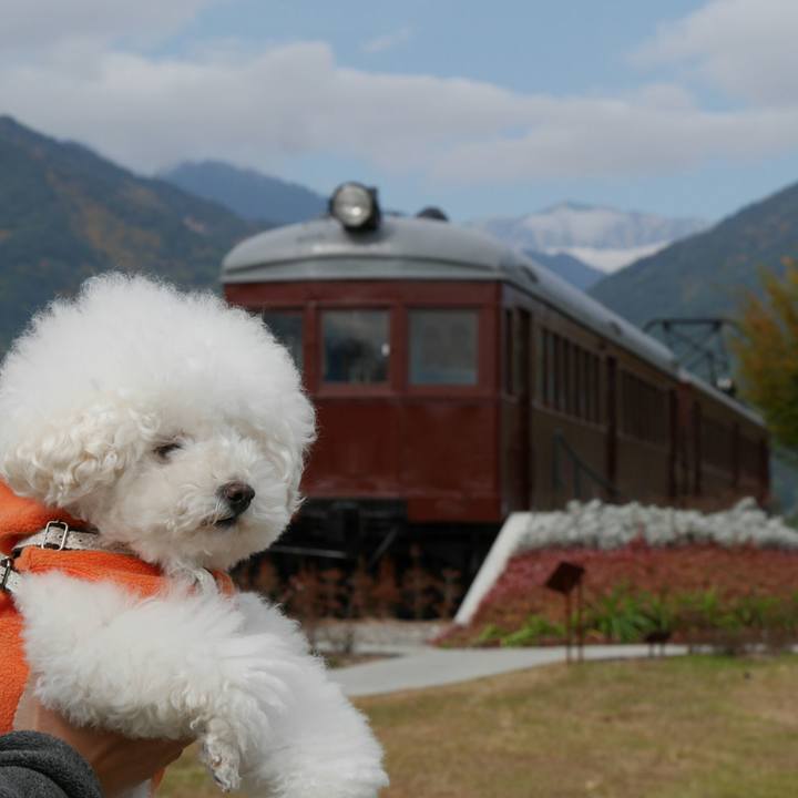 235c12b2 cae8 4d8b 8957 575421f6570e