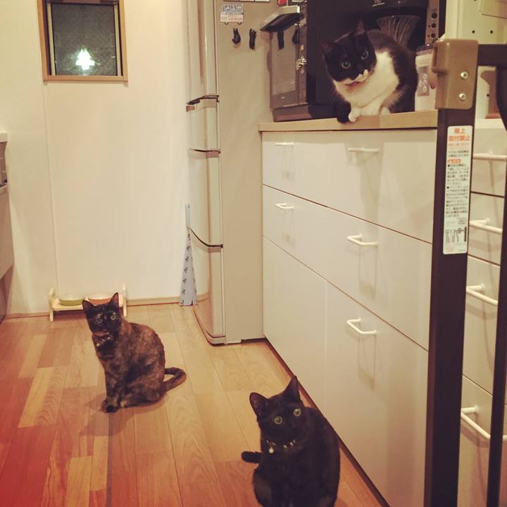 235ca9ba 46a9 4ccc 94e0 ef203c824267