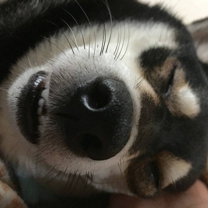 235caff6 cfd8 41a5 9bd6 e6b3f2bbabc6