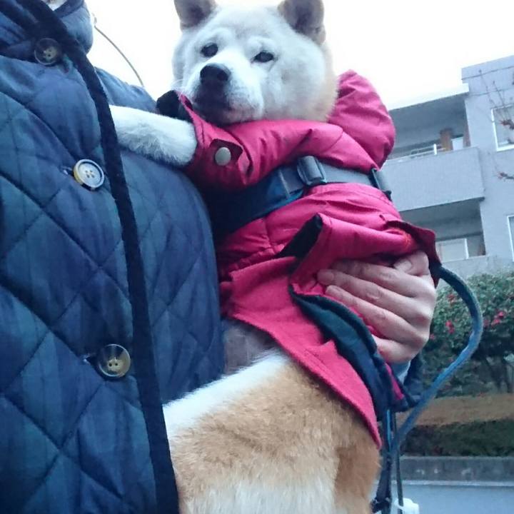 235d8344 19ef 4004 9f3f 4d29bffbccbf