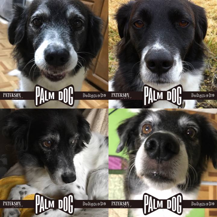 235da07a bf1d 4026 b7a1 68f9827727a7