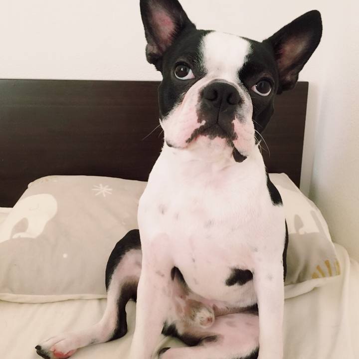 235e0878 471b 48ff ba88 d90adc6bc791