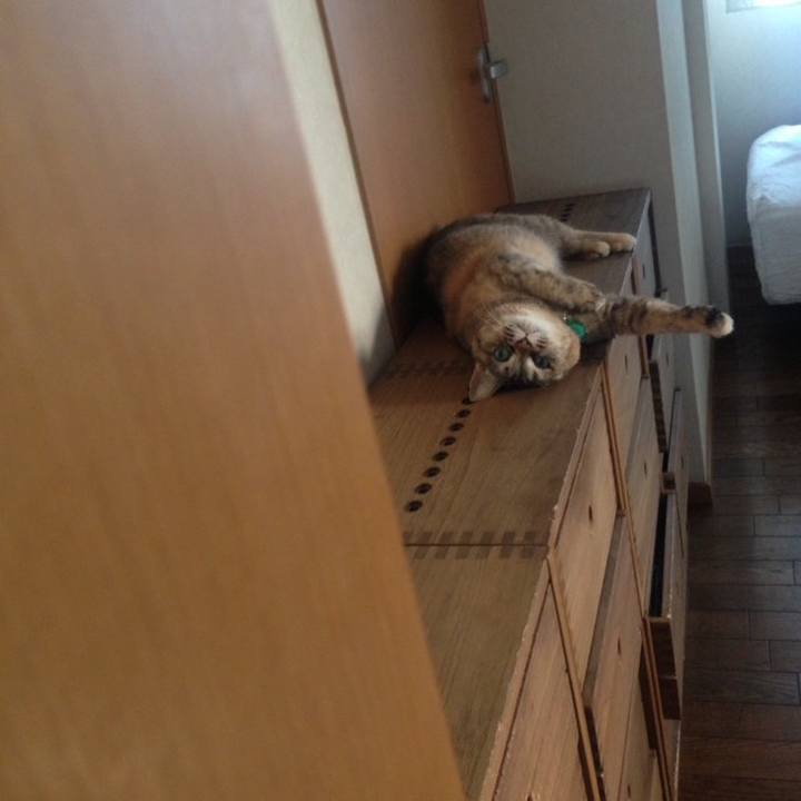 235ebcc4 341a 47cd 9e74 c6b460c890fd