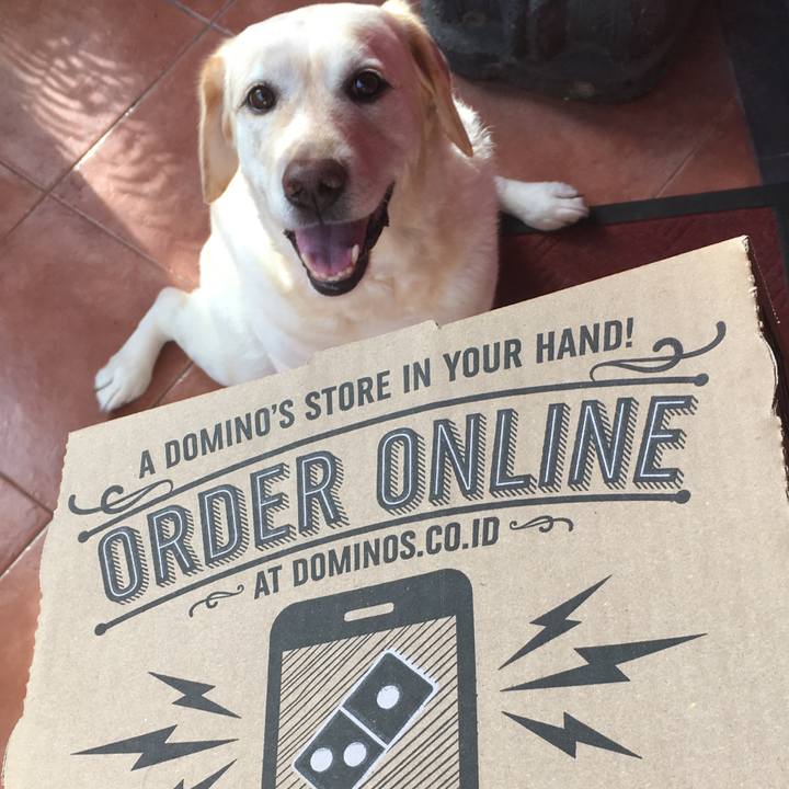 235ebfd0 147d 4a1a 8c03 6a4173fdb0d2