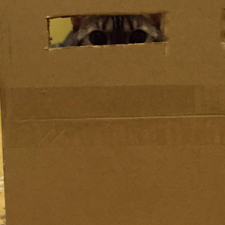 235ef0de 5e48 4ada 91b2 5fea96f32a13