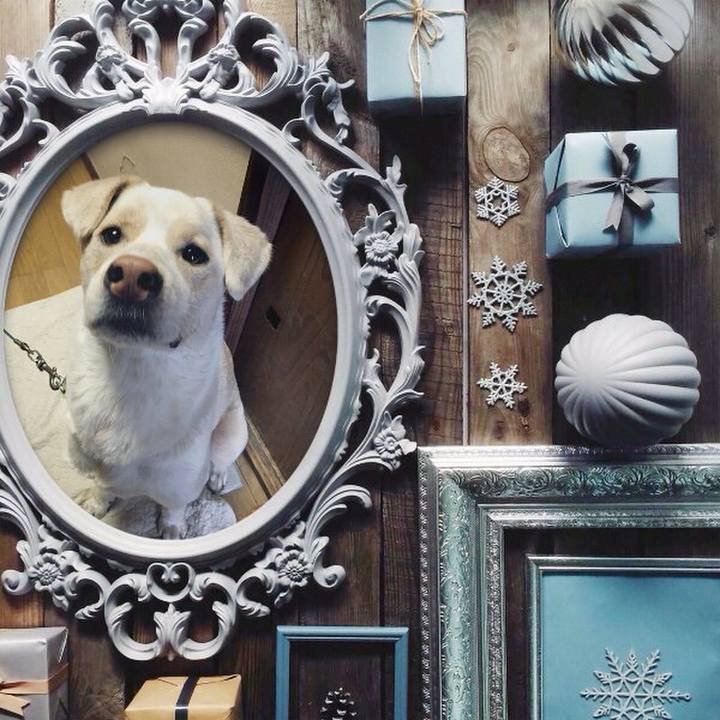 235ef16c d4ec 4130 bc27 61fa793751bd