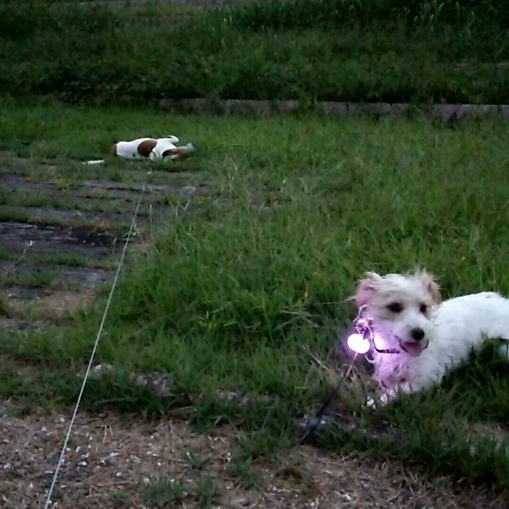 235efaa9 e40a 4111 9cdf 27281959948d