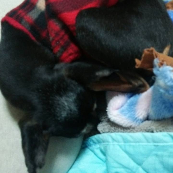 235f3267 f6a3 4742 9551 2983af20b460