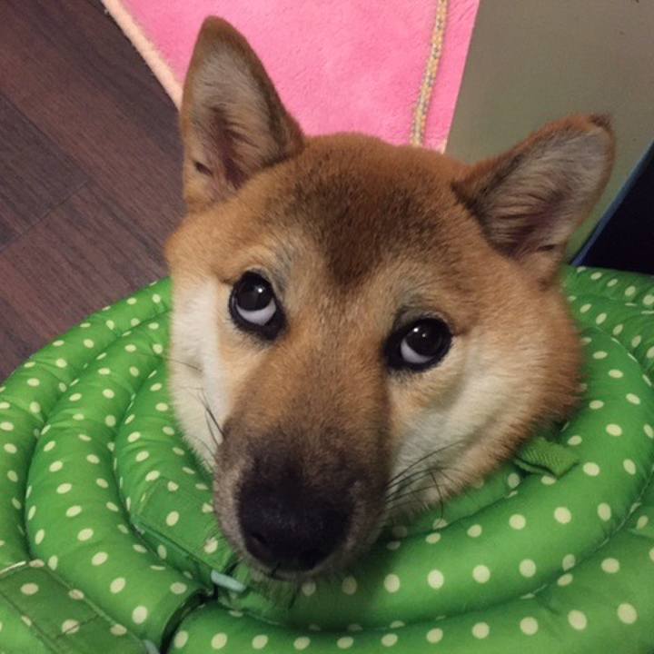 235f552d 094e 47d4 840e 89ee2f327142