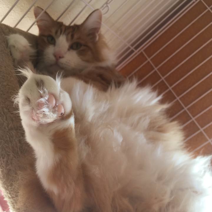 235f629b 9051 4d5d ae00 ee8909e93080