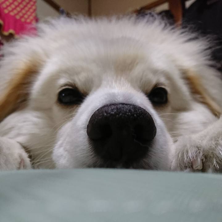 235f6777 ecf6 4310 8ea8 d94247f74d27