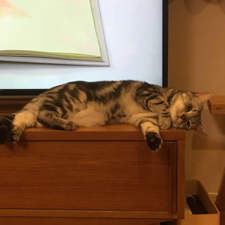 236021c7 077c 4249 b6e5 810bd586615a