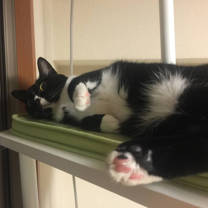 23606bb9 484c 4479 9692 0f344eeec5d2