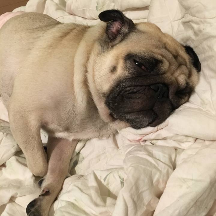 2360a21d e27a 4534 be0d febfac052b8b