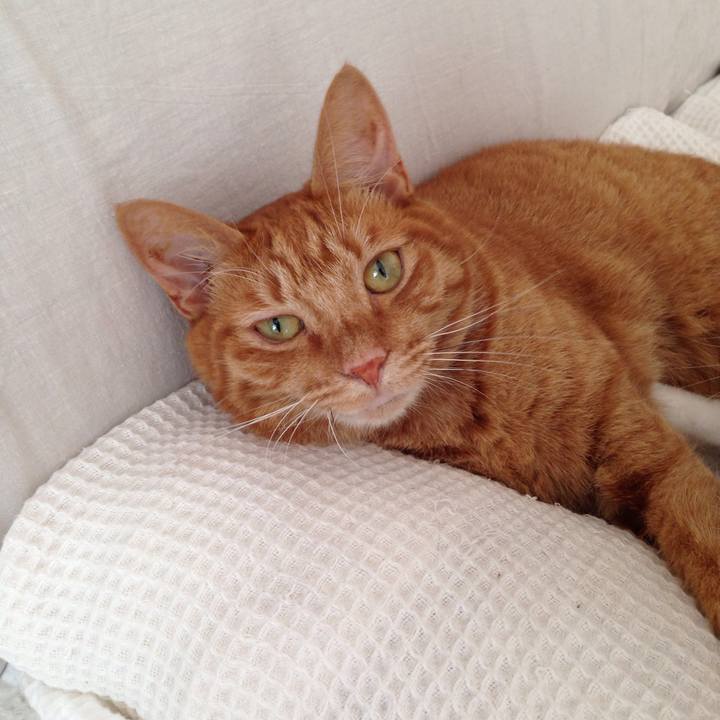 23629619 a6d7 44e9 a232 df31c711d5c9