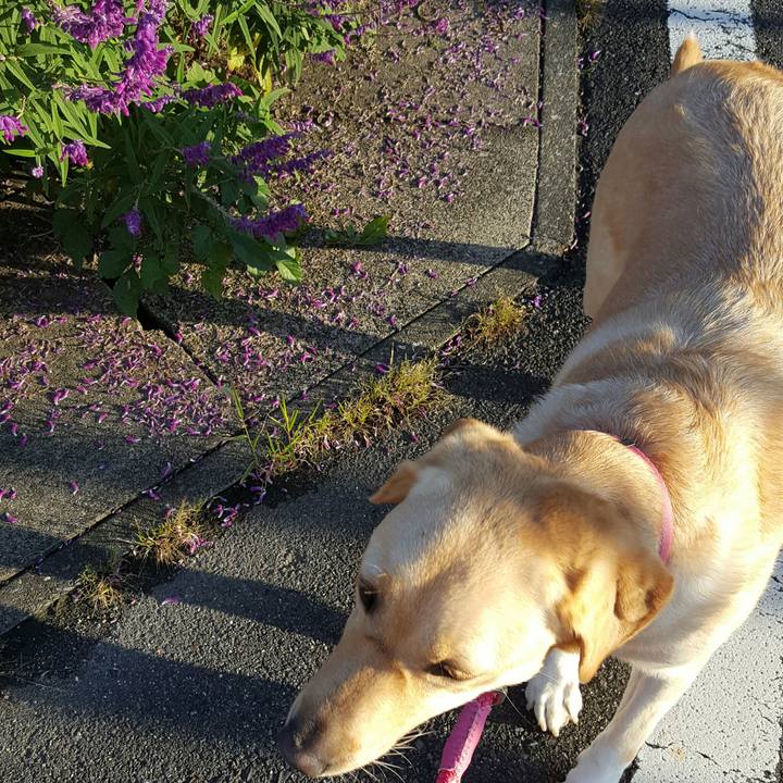 2362d12e 83ef 455b ac02 25f15f90ec1e