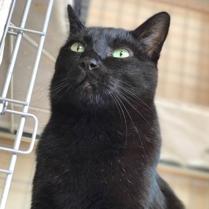 2363a6f7 40ca 46a7 988e 14b499270690