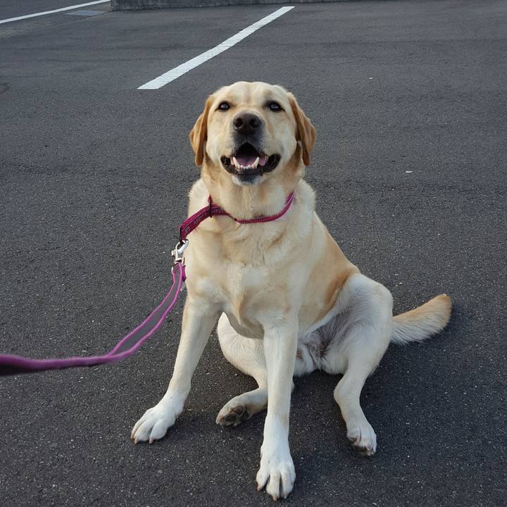 23642bae 95cf 4905 9207 d742e5aabe8f