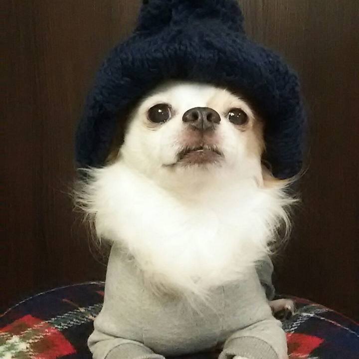 23642c5d 92df 4681 b6fe d7cf071f9cf7