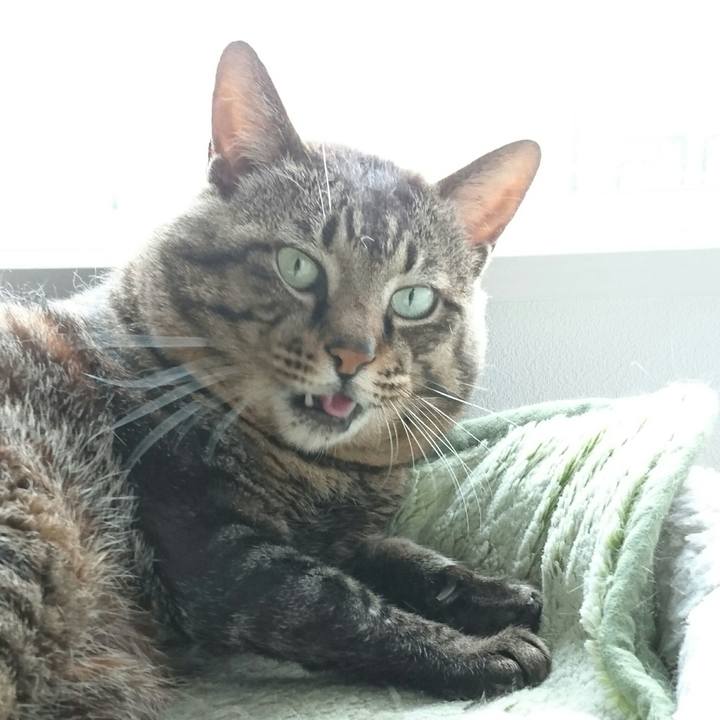 2364fd0a e099 4255 bb36 d09b26fd78a8