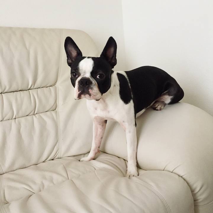 236577df effe 47d0 9426 f06cd18f3186