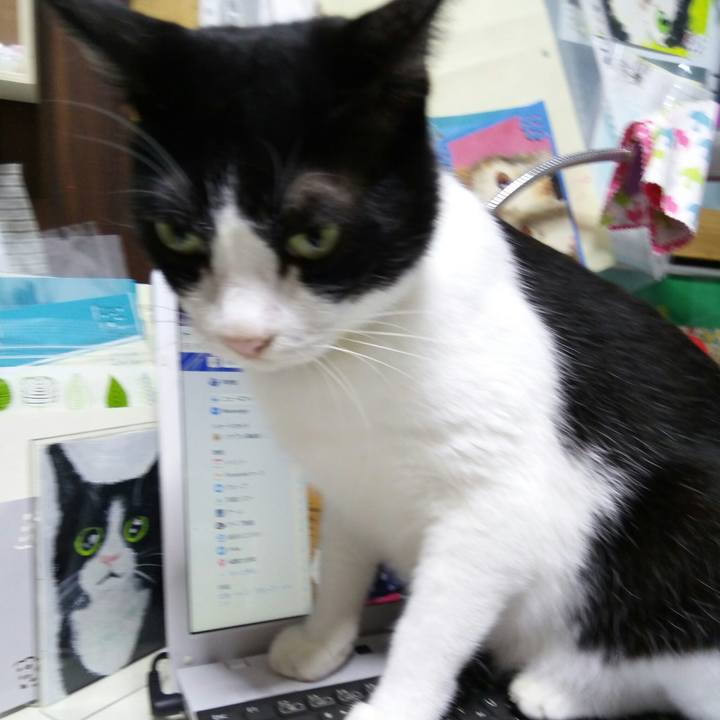 2365f650 6819 4933 9975 a527a876d284