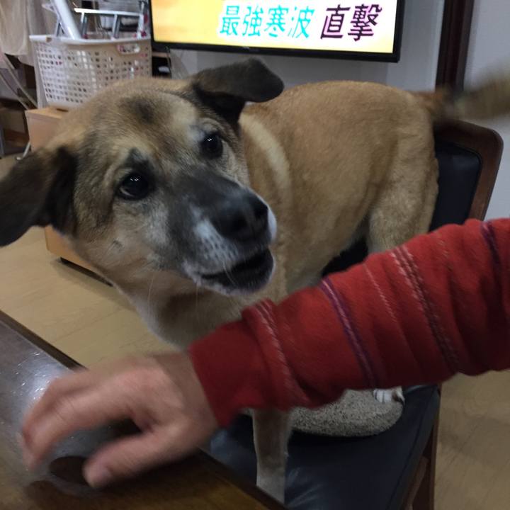 23664521 e09e 407d 86d5 c83bd3222482