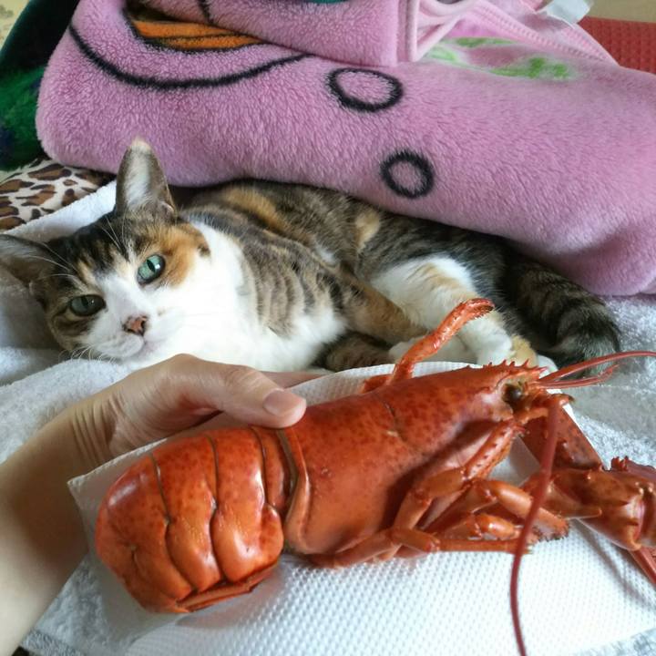 2366718b 09a7 47c8 b048 c6dd0c89b60a