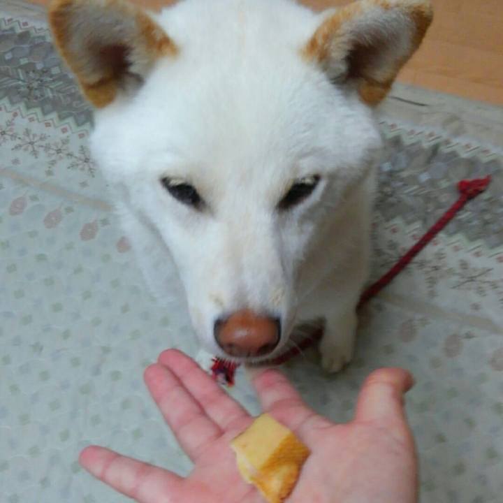 2366a0f4 1783 4e7c b8f6 4eff0c91af46