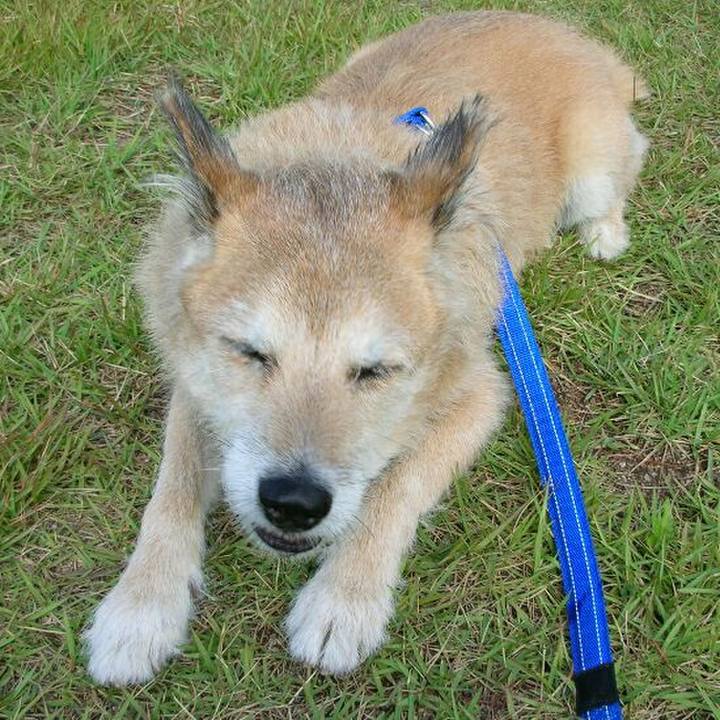 236747c9 f401 4192 a7ee 7466c717cd23