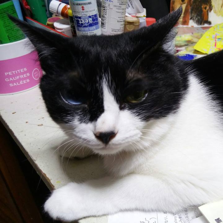 23684a5d 1b50 46b6 a62e 3235543ac642