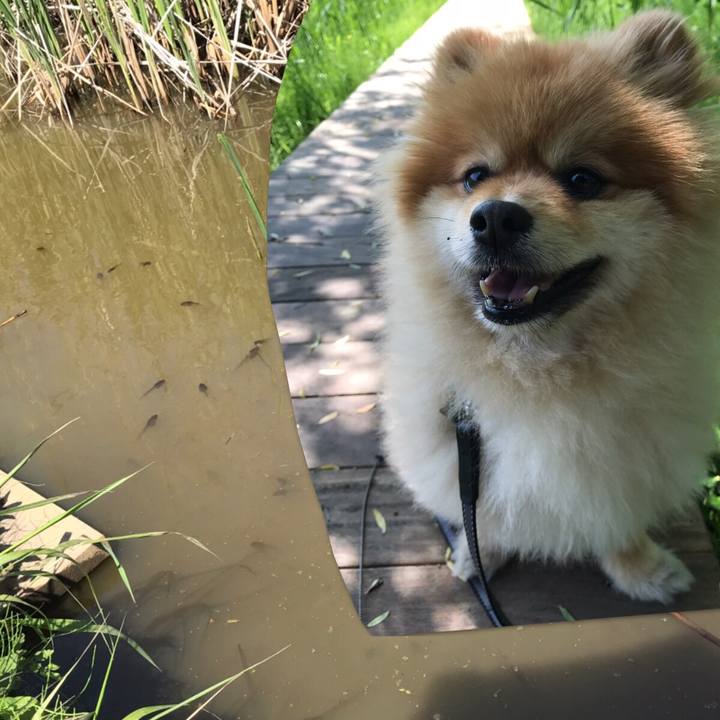 236854d8 5cad 4758 952d c308e19c2c41