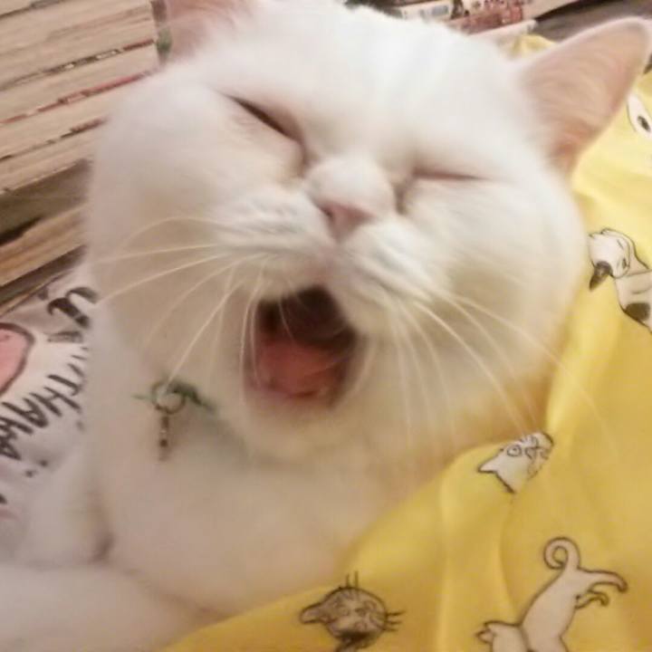 2368988f 27f9 4d07 9d83 3f4cd26a5e9d