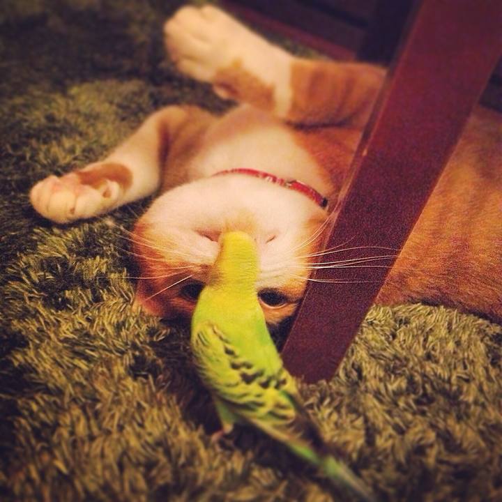 2368b90c dbf0 401b 8dff 68a68684b2af