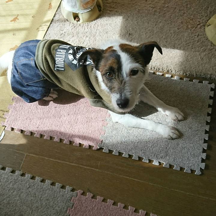 23692e80 2e7f 4ffe a971 a90b4e9f1680