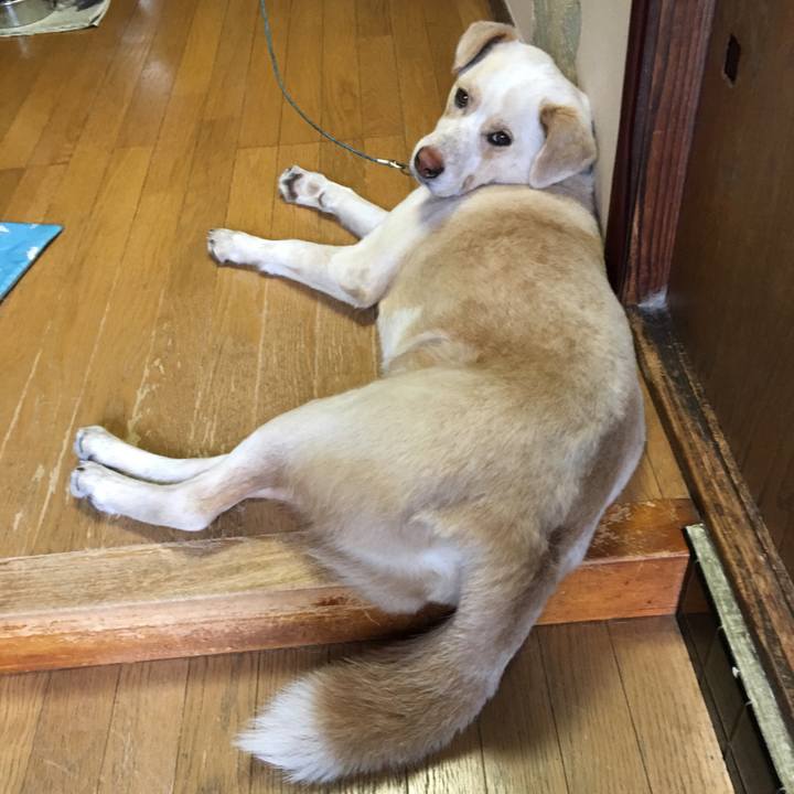 2369966c 0fc2 4155 93ef 604d01cd5d55