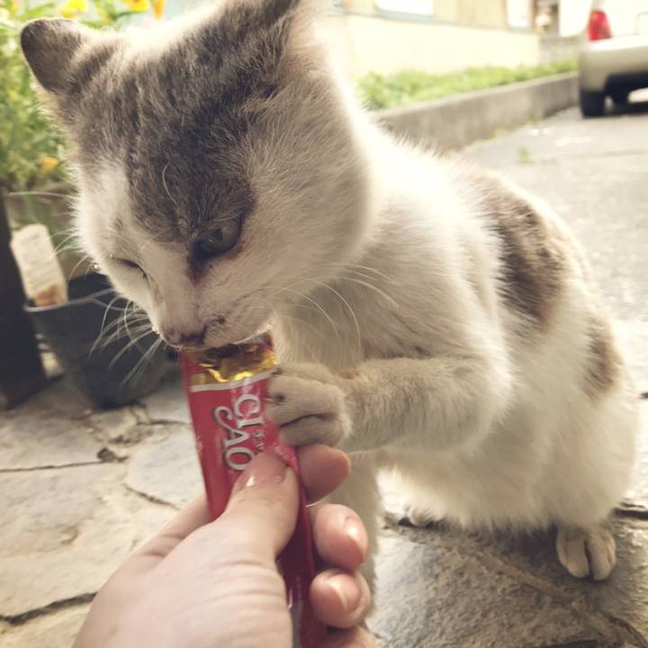 236a0126 9f86 4cdc abd9 b83e4c07beeb