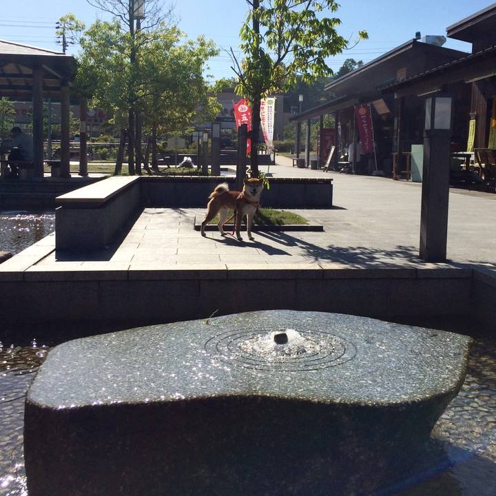 236a2703 83f2 447e bc0a 9576b4564d7f