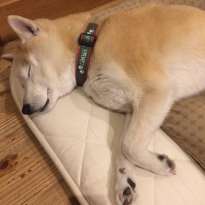 236a5d4b 6ff7 4465 b123 81c6bc37d2d2