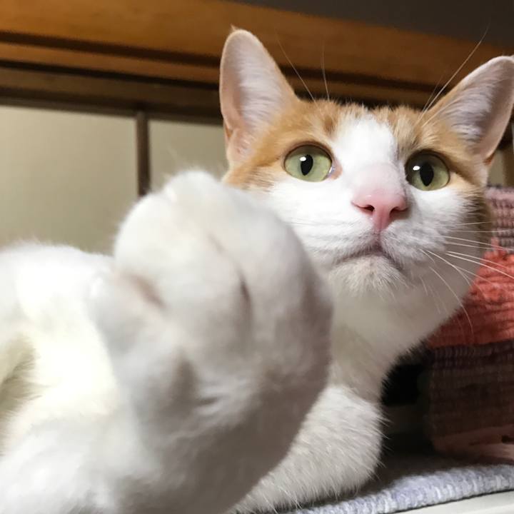 236a680b d2b0 4aed b3a6 738d9b7ddd03