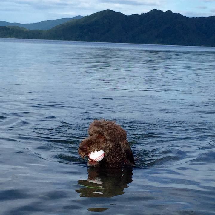 236a9ca2 5866 4a67 80b6 0e0f9b196364