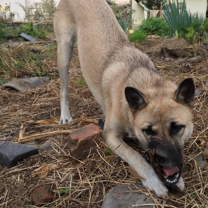 236a9d81 8089 469f 9715 9ee6baa6003f