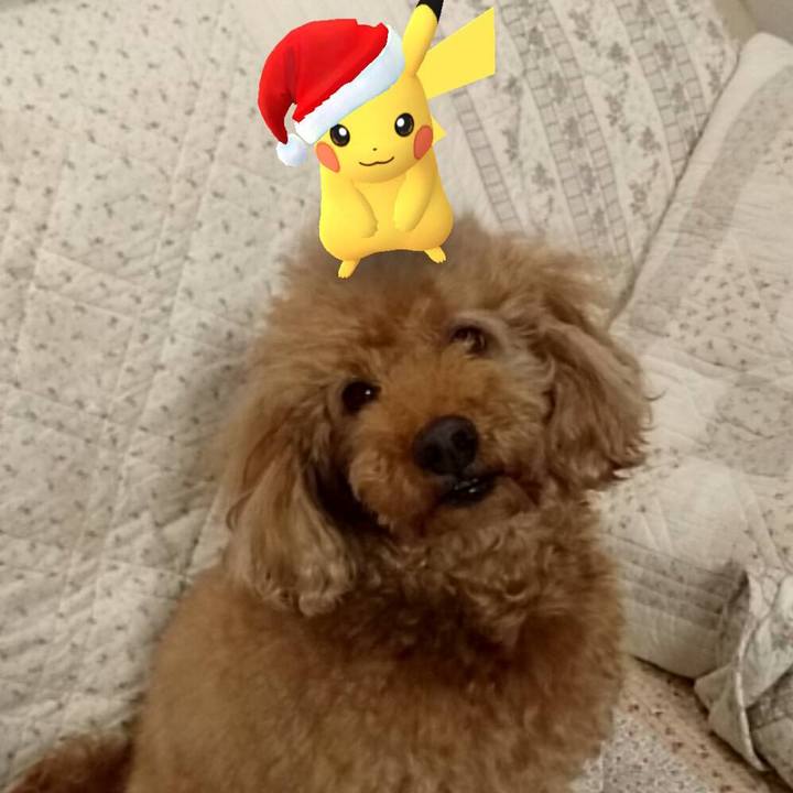 236b97f1 ffaf 40e4 9f25 903269341a80