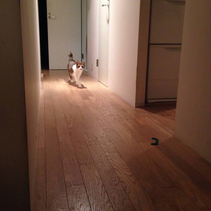 236ba289 91ed 4271 8fec 1f799f945b97