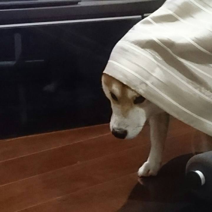 236bf3a5 bce7 4725 99c2 24e1bf9bce4d